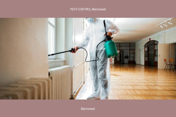 PEST CONTROL Blackwood